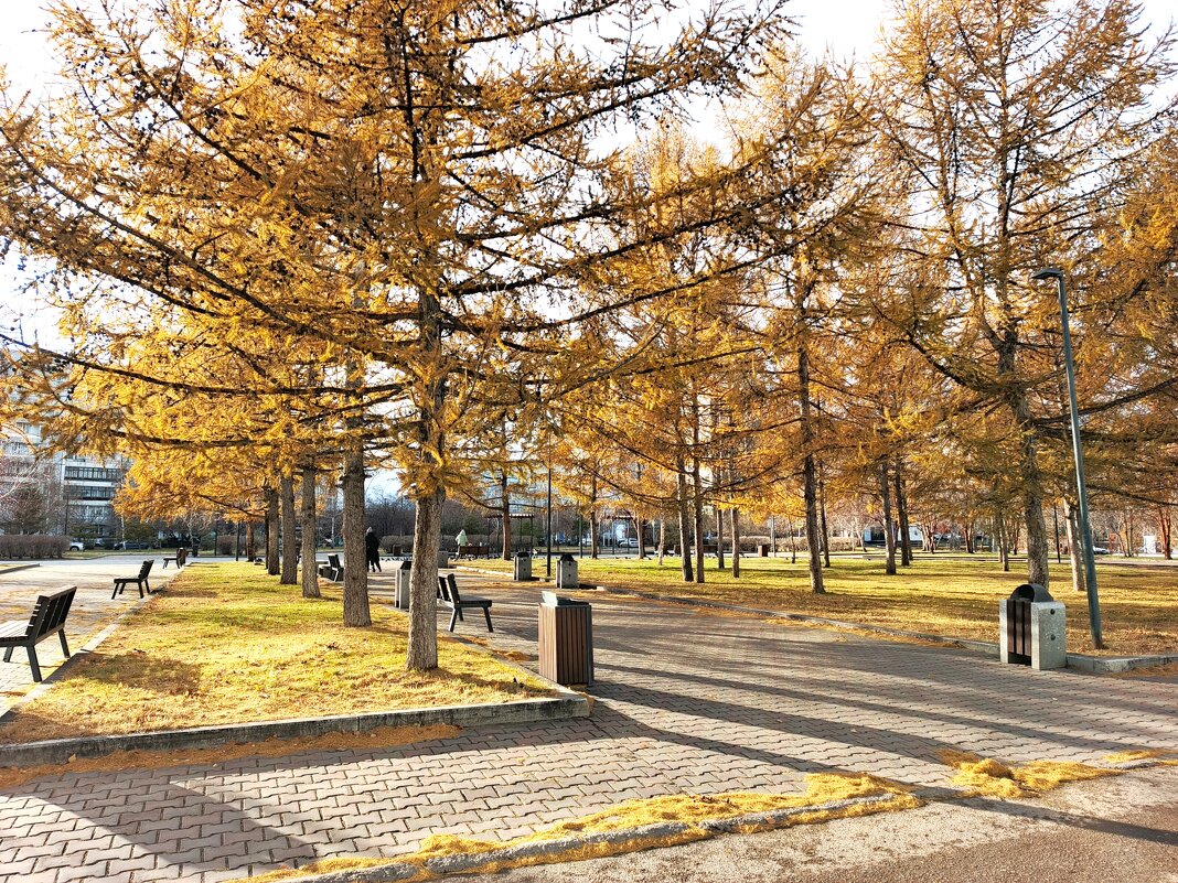 Осенний сквер - Василий 