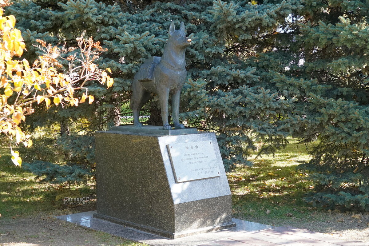 Памятник собакам - истребителям фашистских танков - Сергей Беляев
