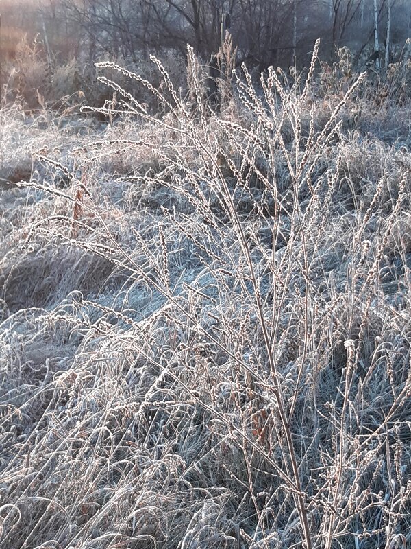 А недавно был октябрь - Галина Минчук А недавно был октябрь - Галина Минчук