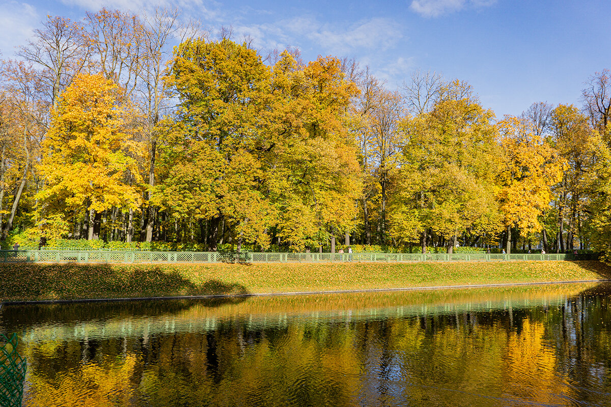 Золото Летнего сада - Ирина Соловьёва