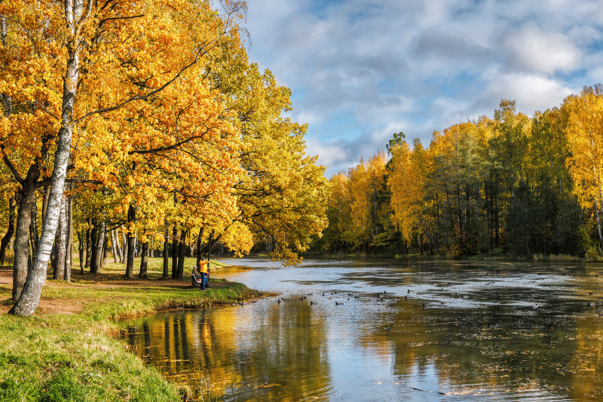 Про Питер - Владимир Колесников