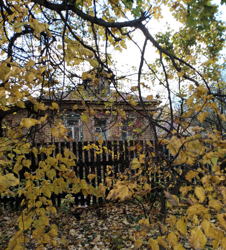 *** - Валентина Береснева