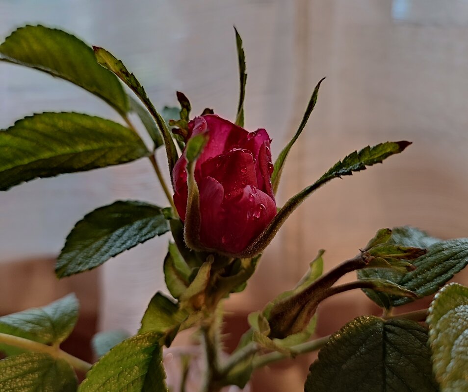 2 ноября. Глухая осень. - Ирина 