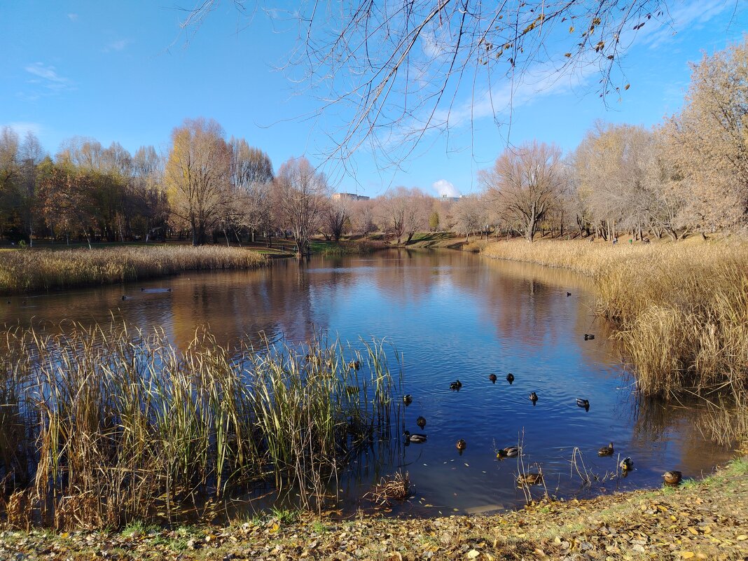 Самара. Парк Воронежские озера - Надежда 