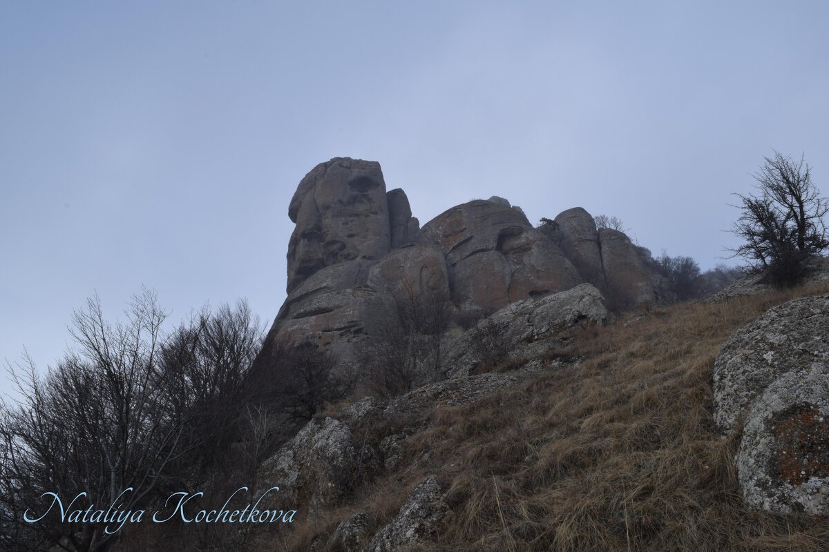 Природа Крыма - Amazing Cosmea