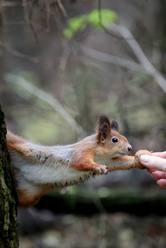 Голкипер - Александр Кондаков