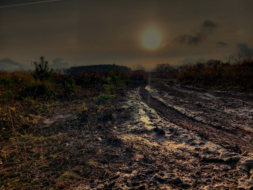 постапокалиптическая картина - Артём 