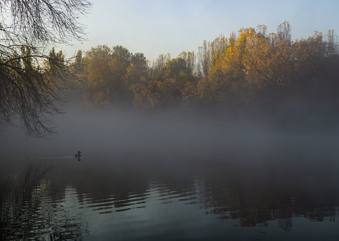 *** - Игорь Протасов