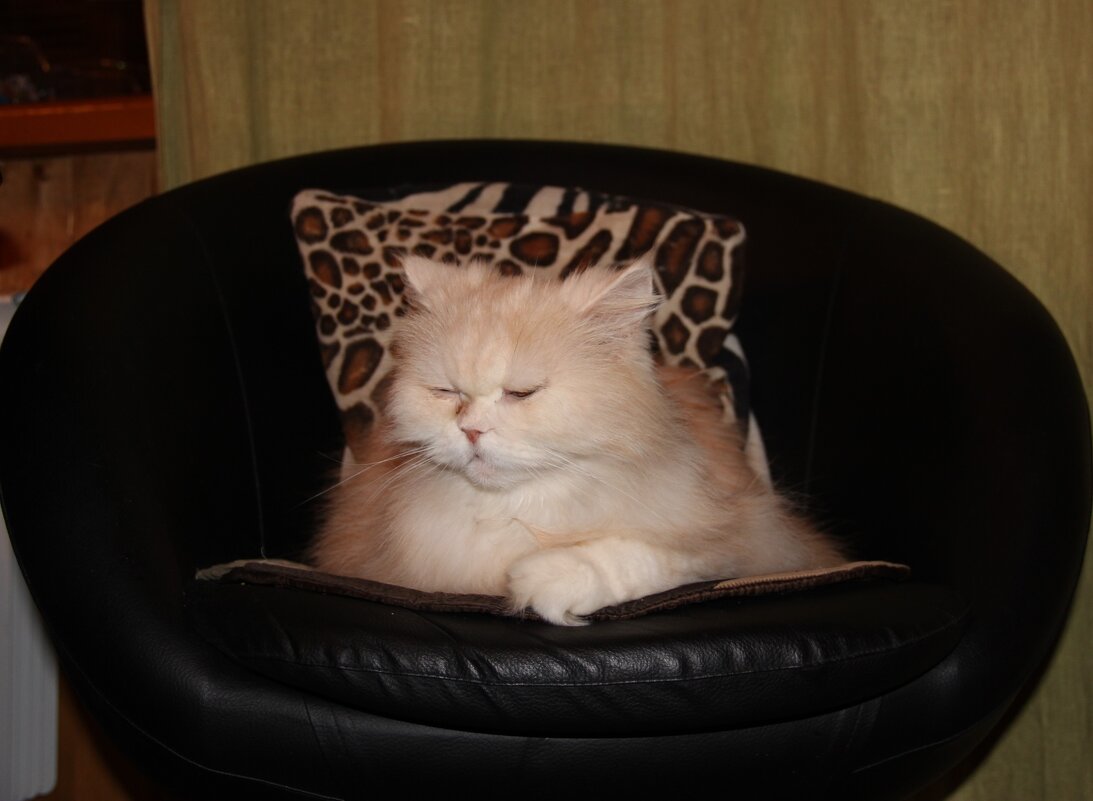 Персик - Венера Чуйкова