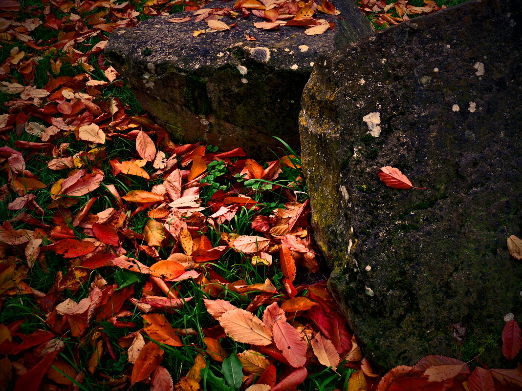 Осень 39 - Алексей Кузнецов