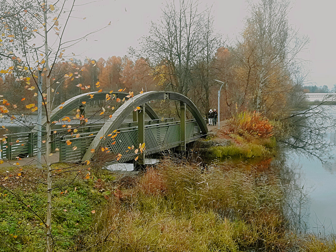 Осенним днём - Сергей Кочнев