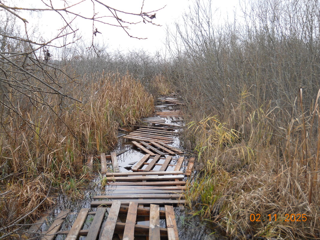 дорога из деревянных поддонов - fogmeadowww m дорога из деревянных поддонов - fogmeadowww m