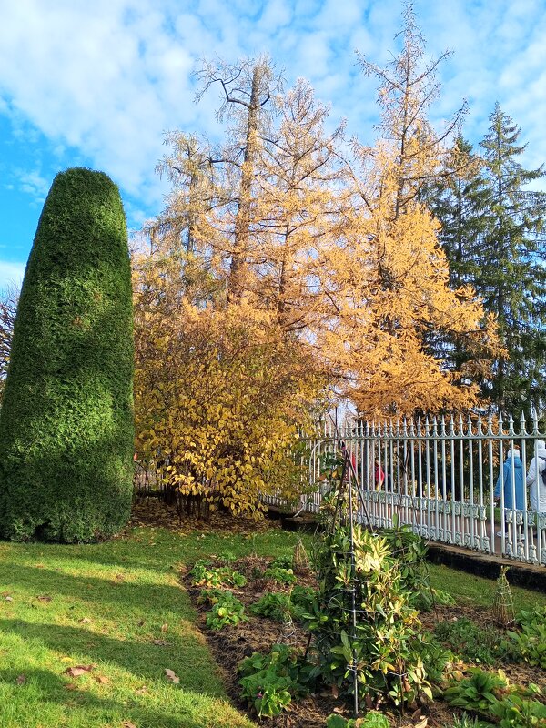 Осень - Сапсан 