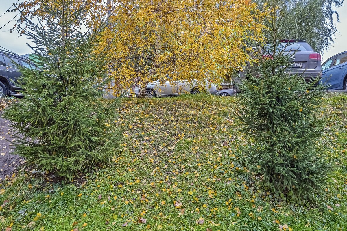 Осень в городе - Валерий Иванович