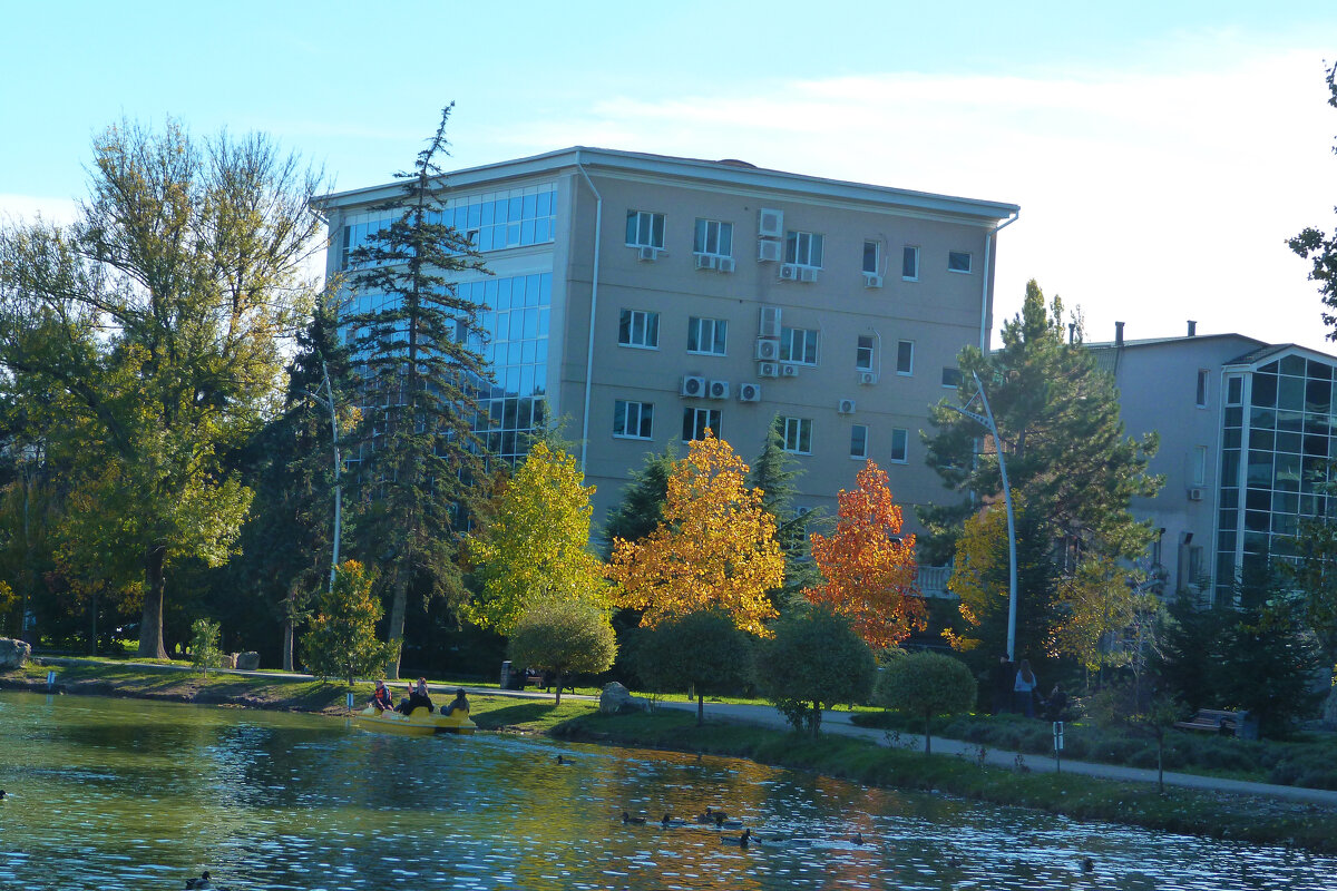 Осень  золотая - Валентин Семчишин