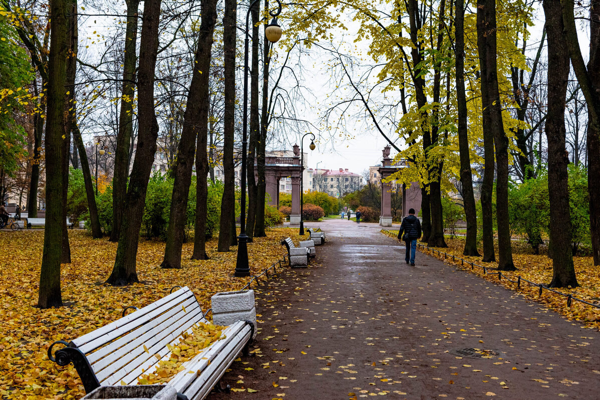 *** - Дмитрий Лупандин *** - Дмитрий Лупандин