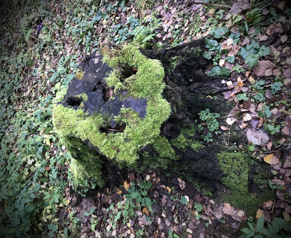 Маски- шоу) - Любовь Маски- шоу) - Любовь