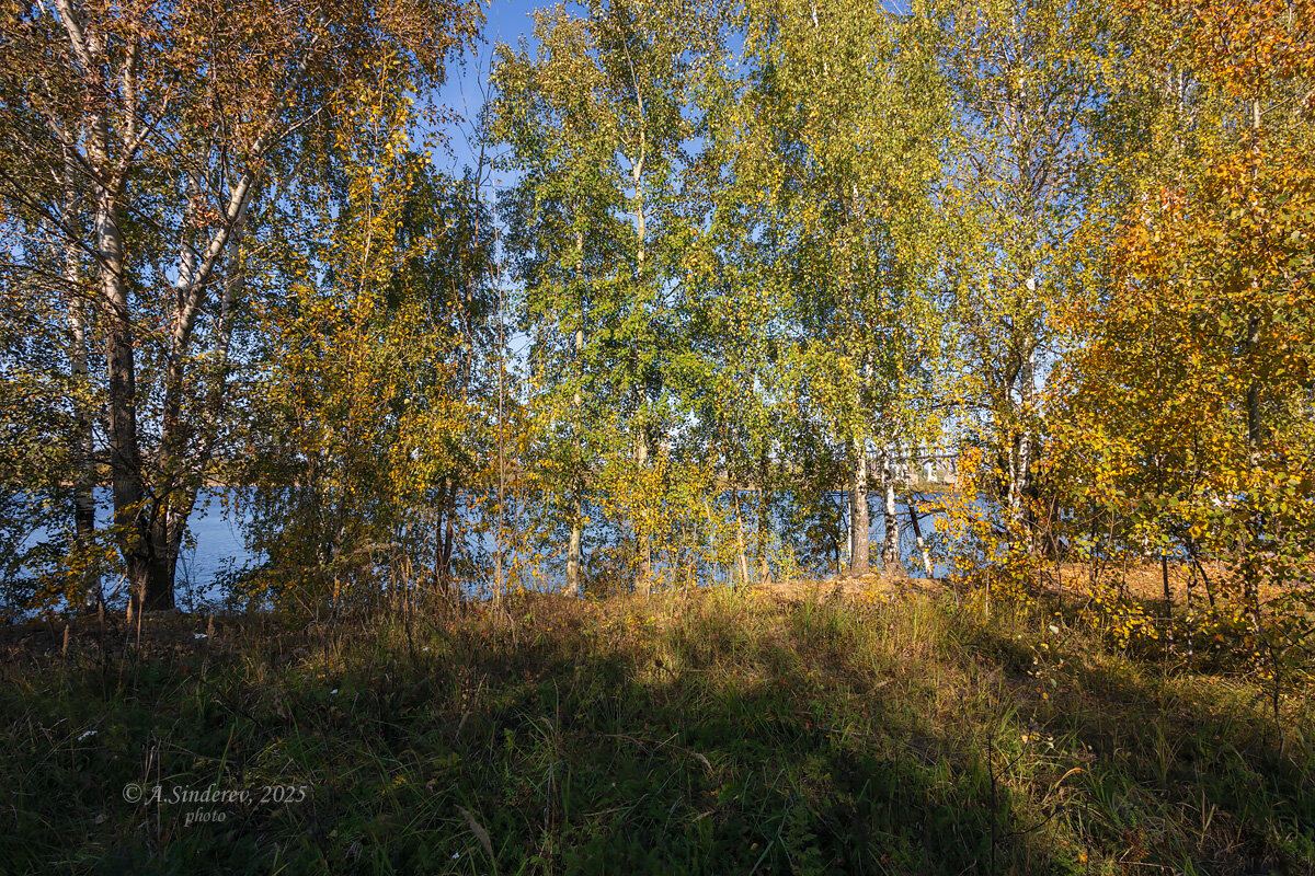 Природный пейзаж осень около реки - Александр Синдерёв