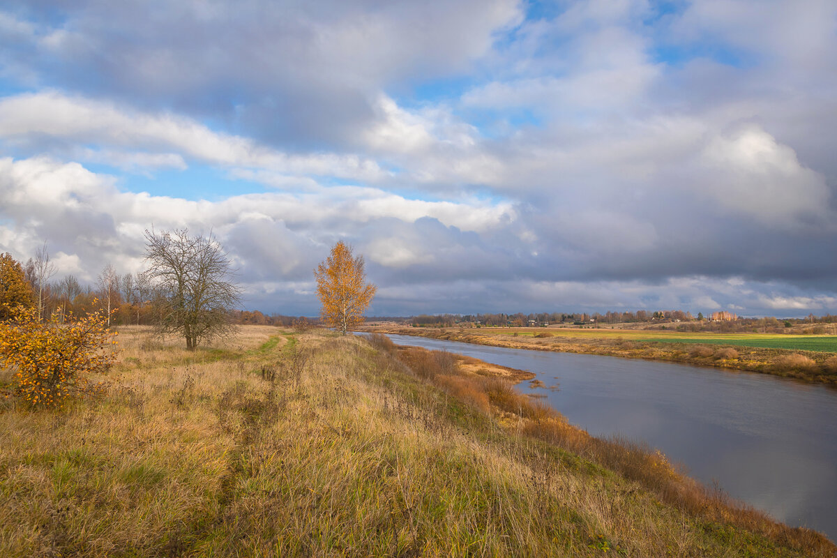 **** - Елизавета .