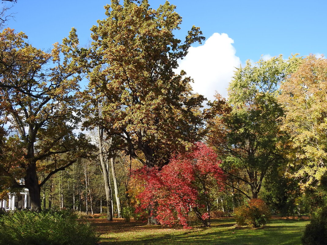 осень - ИННА ПОРОХОВА