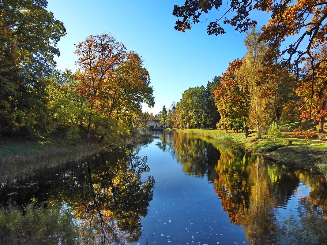 осень - ИННА ПОРОХОВА