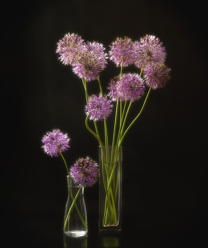 Натюрморт с декоративным луком. - Лилия *