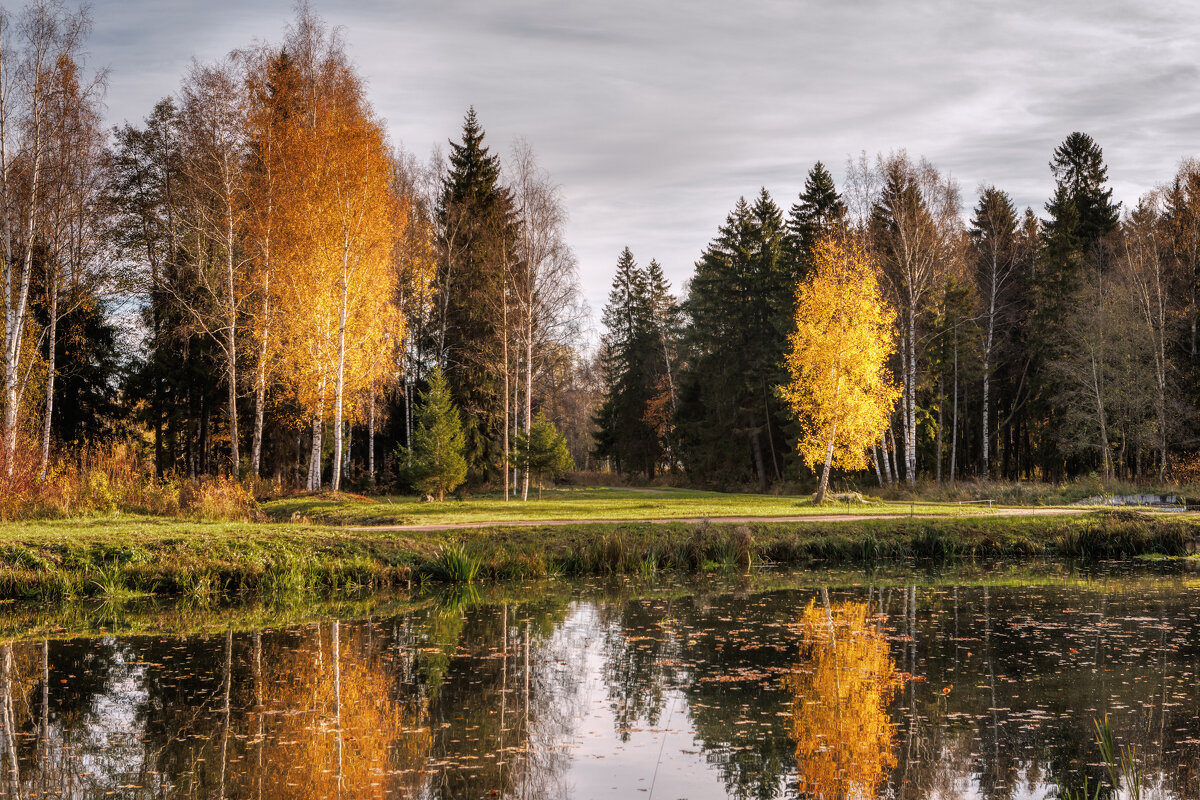 Октябрь - Владимир Колесников