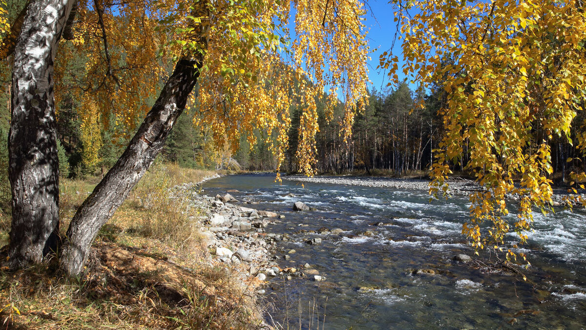 *** - владимир 