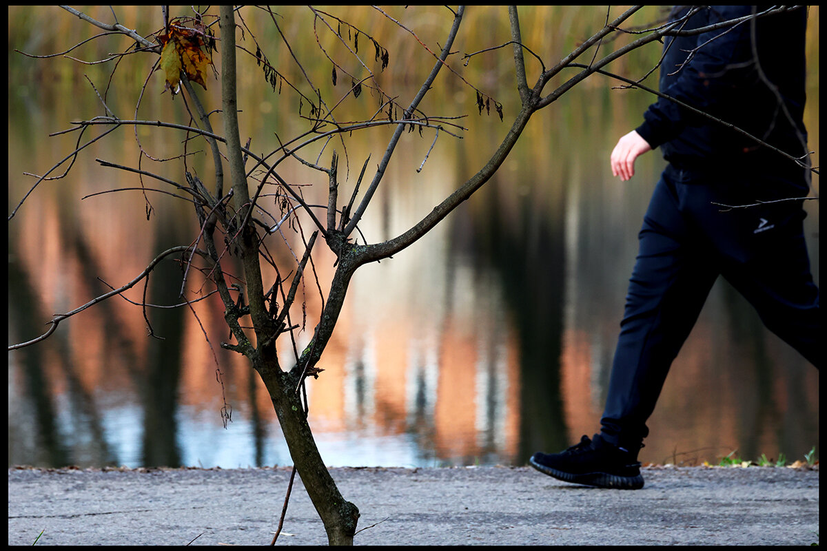 Прогулка - Сергей Премонишын