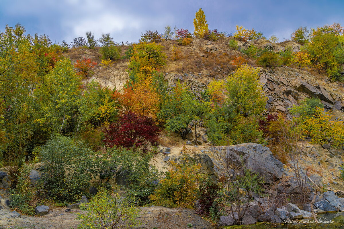Осенняя палитра - Светлана Ищенко