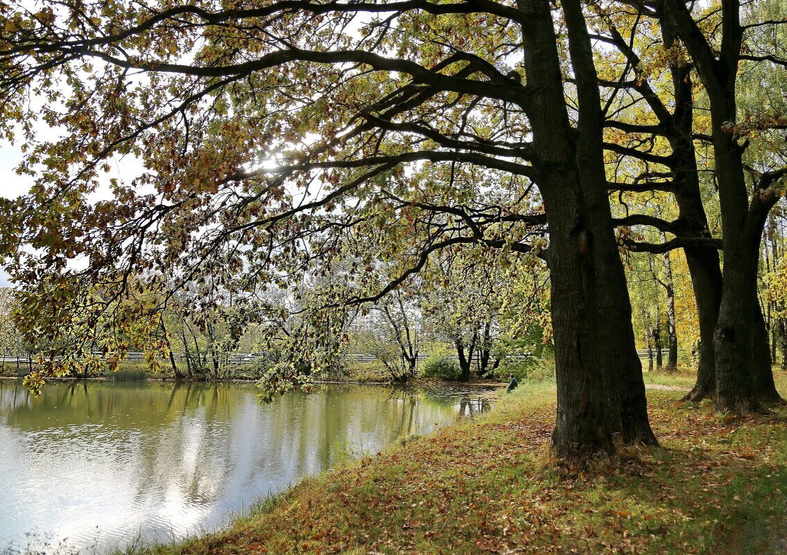 Осень - ZNatasha - Осень - ZNatasha -