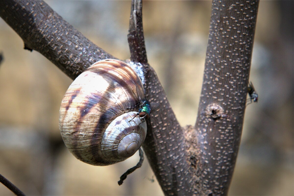 природа - Антонина Владимировна Завальнюк