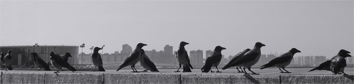 на зарядку становись! - sv.kaschuk 