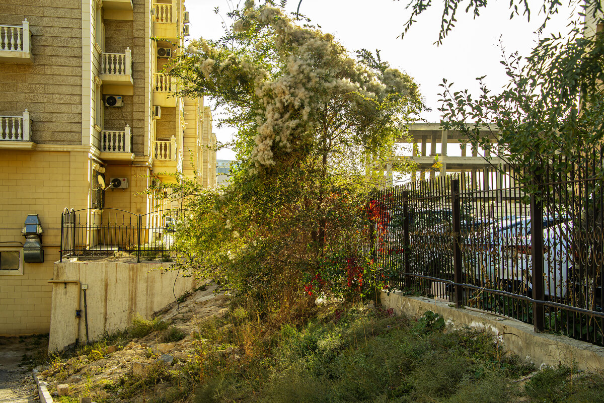 Актау - Анатолий Чикчирный