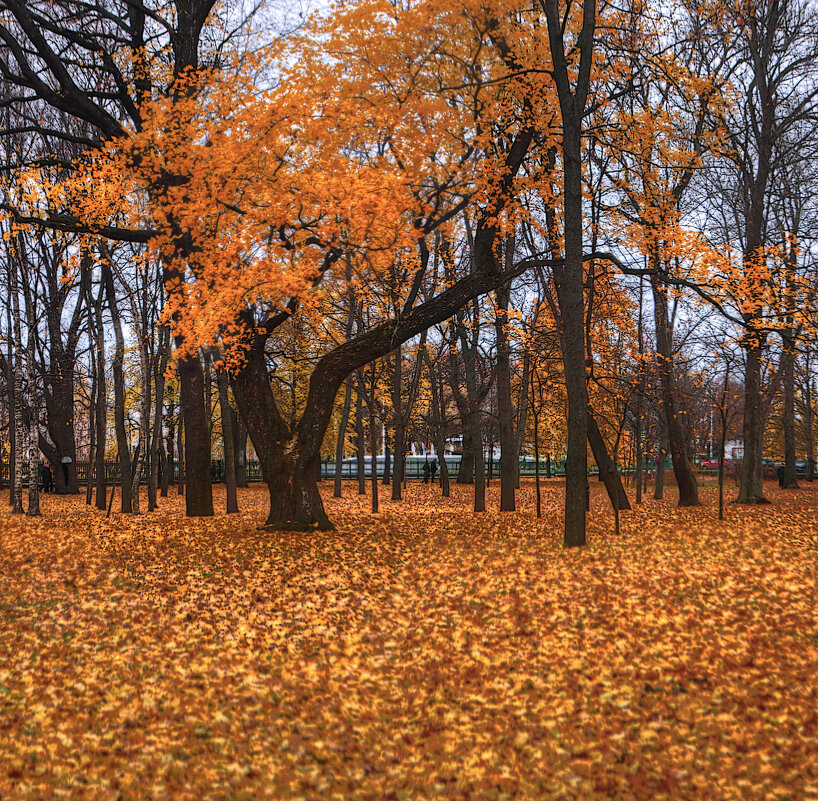 *** - Сергей Григорьев