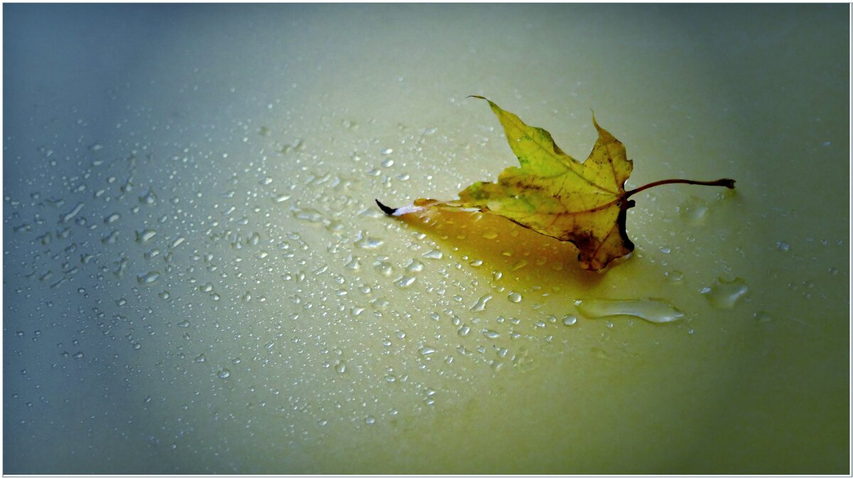 ЛИСТ... - Elvira E. 