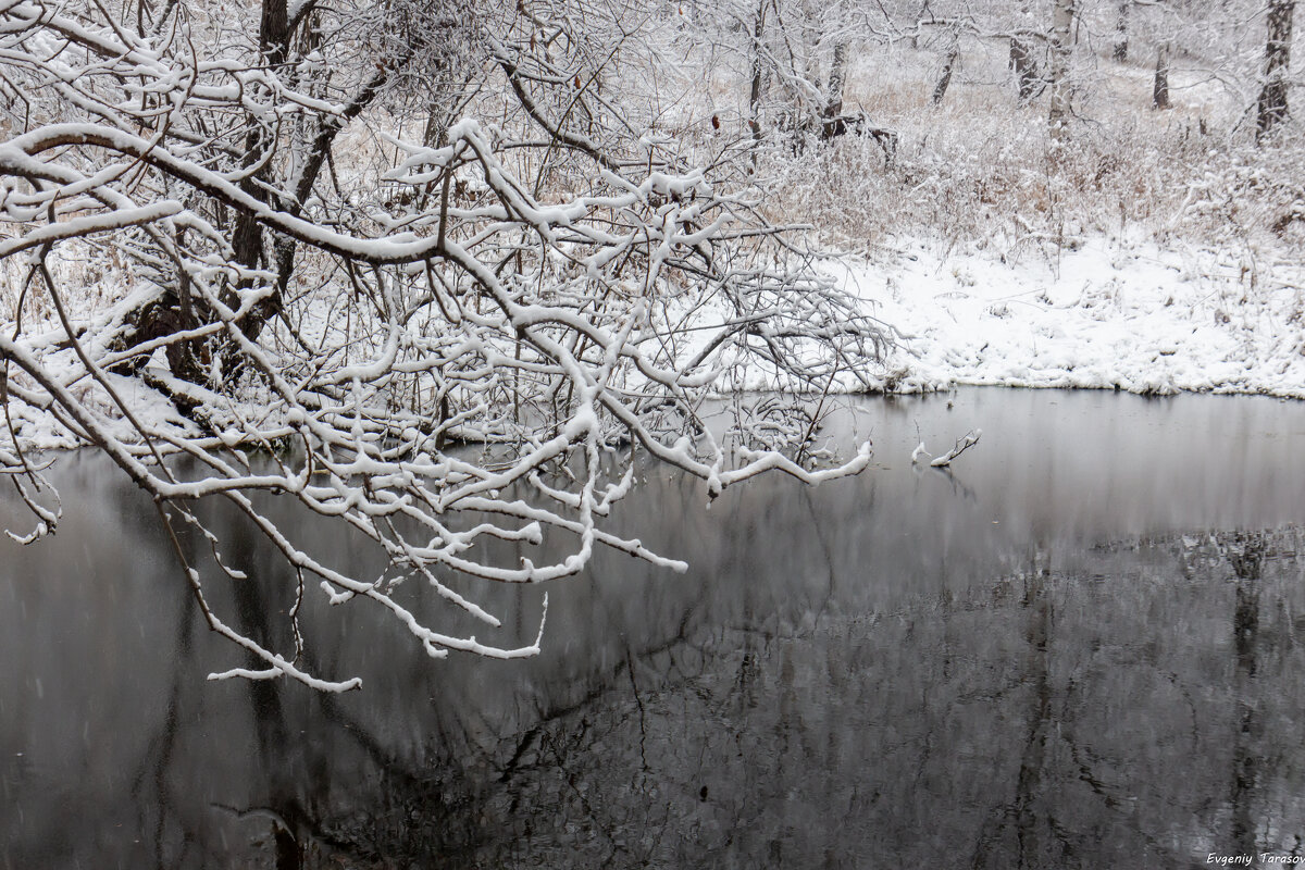 Отражения зимы - Евгений Тарасов 