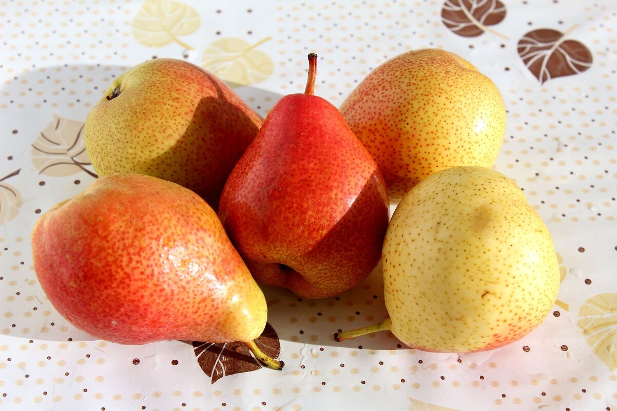 Груши - Владимир Помазан