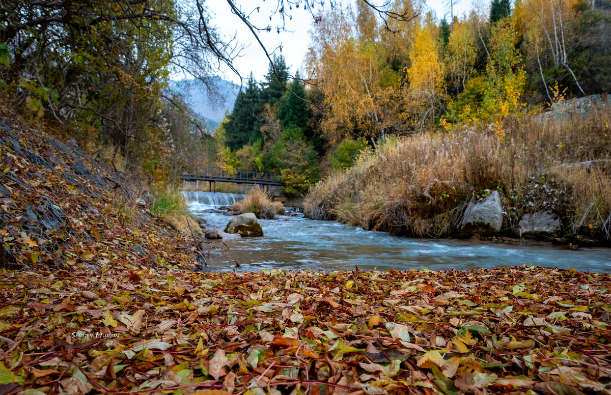 Осеннее... - Сергей Мурзин