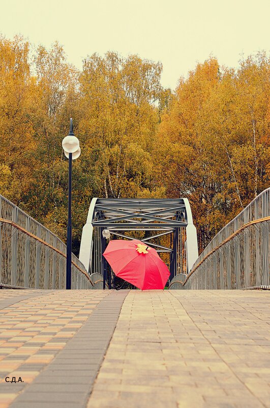 Осень в Подмосковье - Дмитрий 