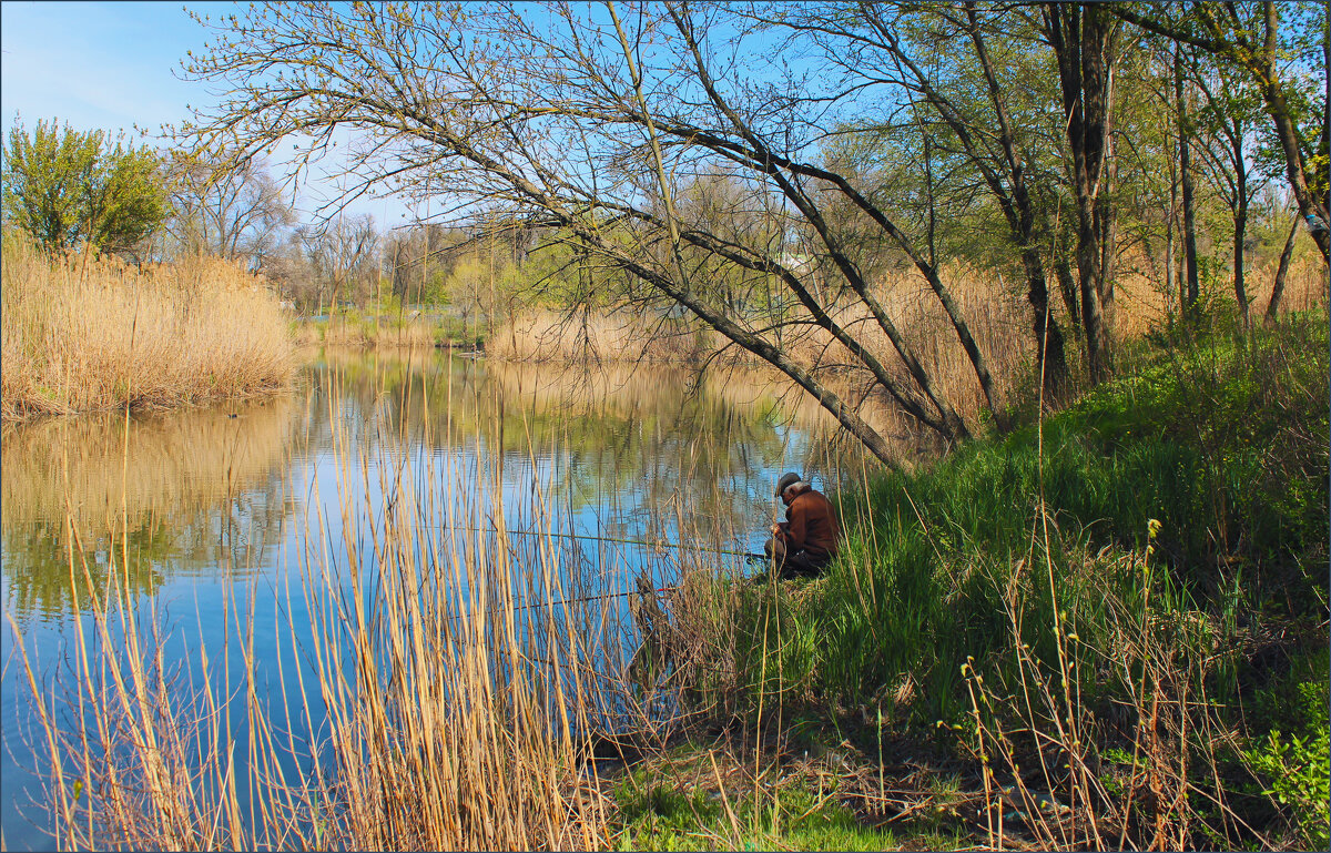 Река Темерник. - Александр. AVG100 ---
