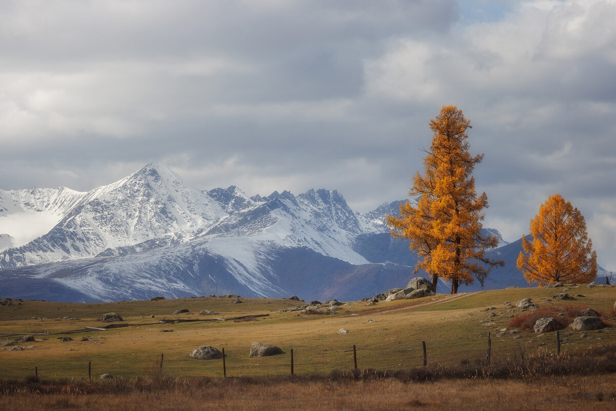 Беляши - Sergey38 