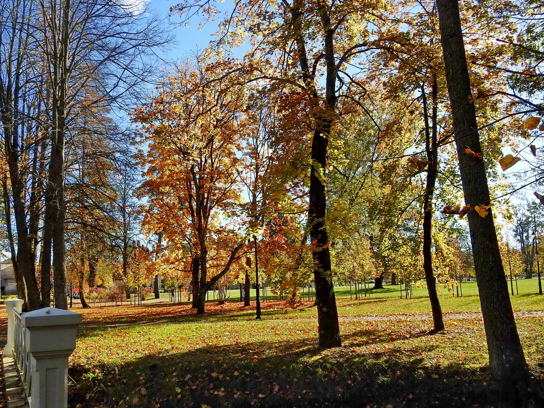 осень - ИННА ПОРОХОВА