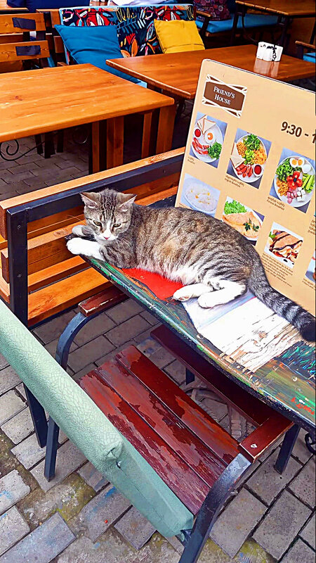 КОНСУЛЬТАНТ - Анатолий Малобродский