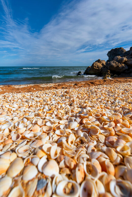 *** - Виталий Емельянов