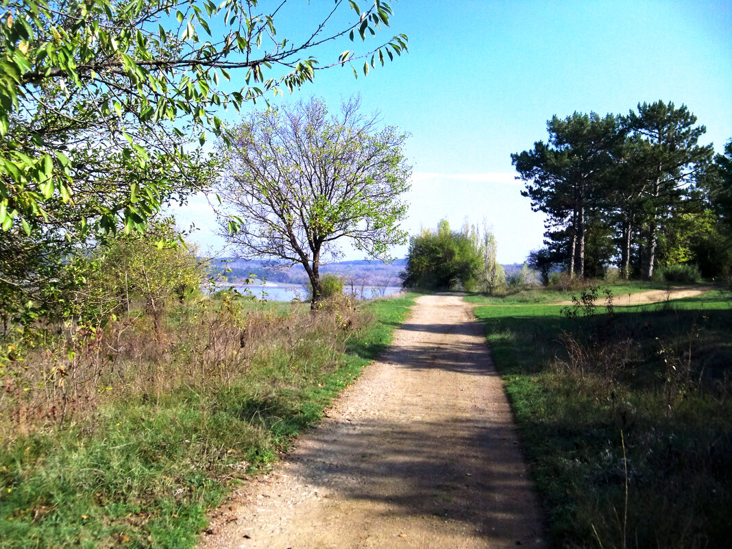 Природа  Крыма - Валентин Семчишин