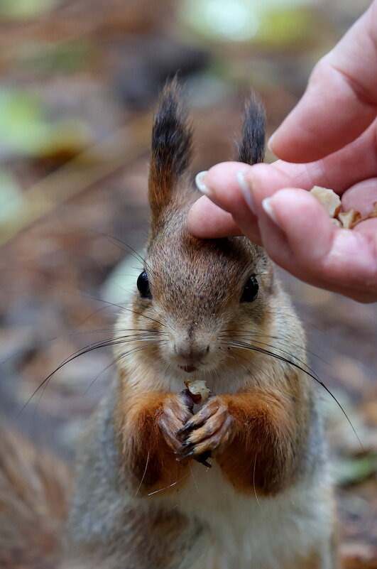По лобику... - Александр Кондаков