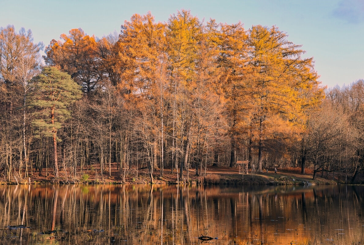 Осиновая Роща - skijumper Иванов Осиновая Роща - skijumper Иванов