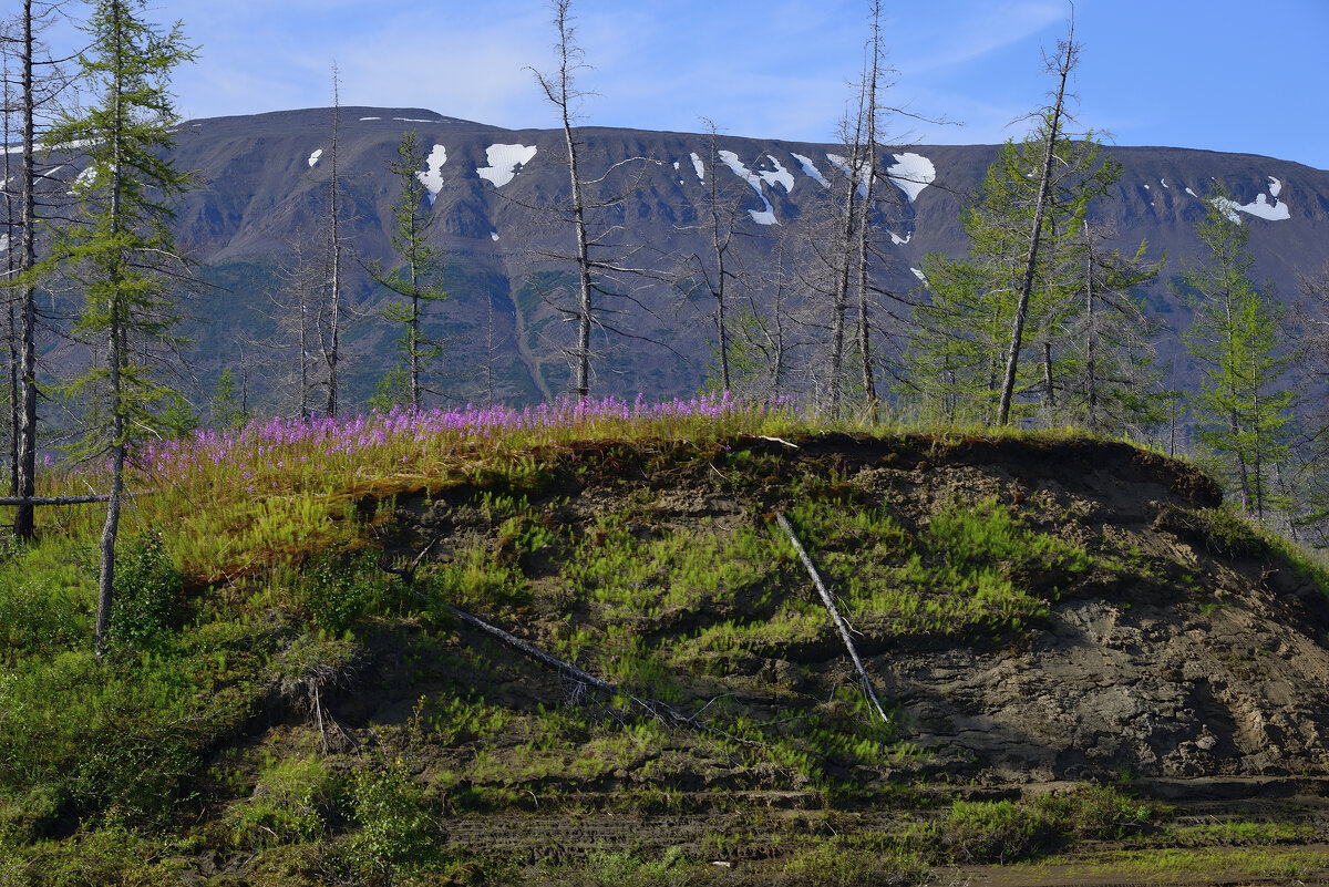 *** - Александр Хаецкий