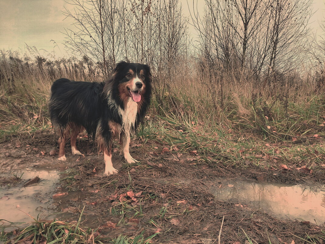 ну... допустим.... ХРЮ!!! - Артём 